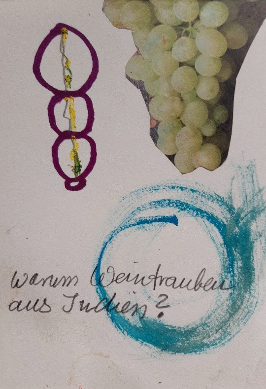 Wochenbericht XVI - Warum Weintrauben aus Indien?